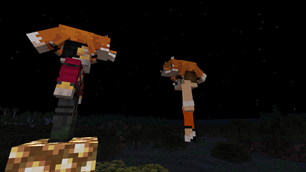 Super Fox at night