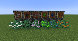 6 Bush and berries