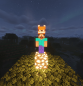 Herobrine