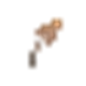 Dried Fleinsopp