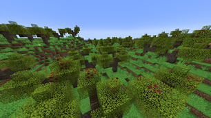 The Quiet Glade