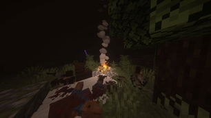 Campfire