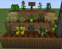 Plains.png