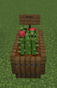 Desert.png