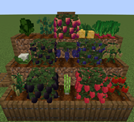 Forest.png