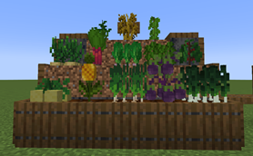 Jungle.png