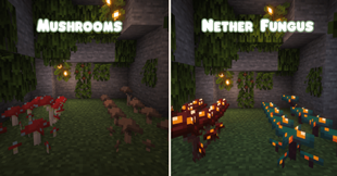 Mushrooms (850 x 1017 px).png
