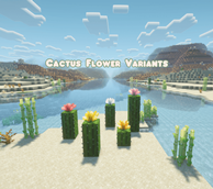 Cactus Flower Variants (850 x 1017 px) (1).png