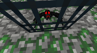 Black Widow Spider from Erubus