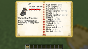 Cat Book Data Preview
