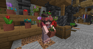 pnj