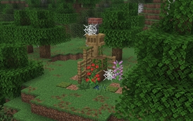 Oak Old Storage