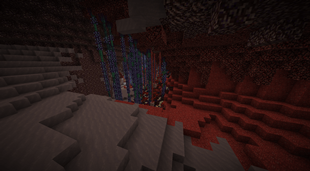 Nether Biomes Working Together