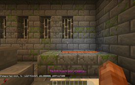 Teleporting to The End 2