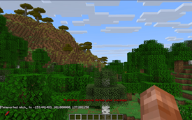 Teleporting to The Nether 2