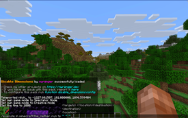 Teleporting to The Nether