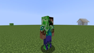 Creeper Steve
