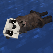 in water with their child