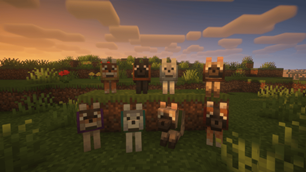 New wolf variants!
