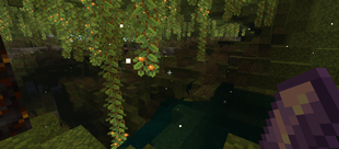 Screenshot (118).png