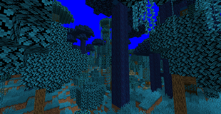 Manboywood Dimension