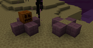 shulker