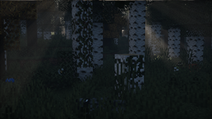 Another attempt to survive