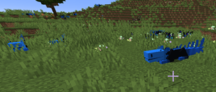 Blue Lizards