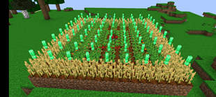 1000105176.png
