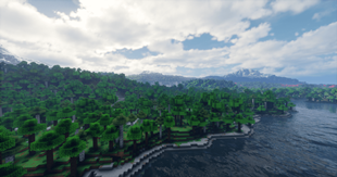 Distant Horizons