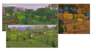 Switchgrass / Baled Switchgrass color change