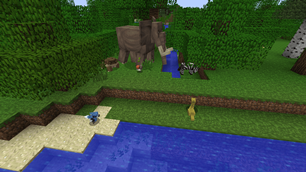 Naturalist.png