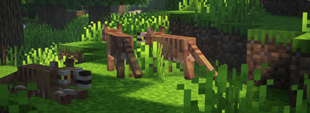 Thylacines
