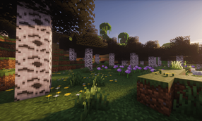 forest2