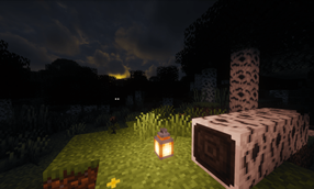 forest