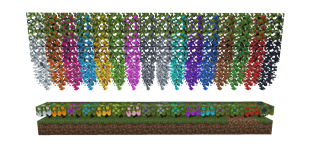 Colorful Leaves