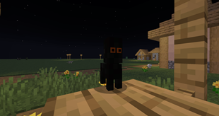 Void Nugget