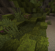 Naturally Generated Spore Blossom Leaves
