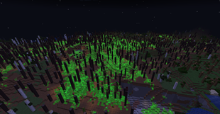 Once it was a forest