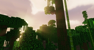 2025-10-06_15.56.33_compressed.jpg