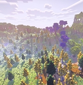 Forest.jpeg