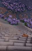 7.PNG