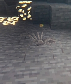 little spider.jpeg