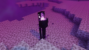 EndermanVariant.jpg