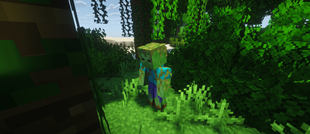 Thicket-min.png