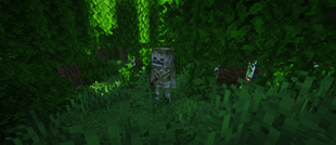 Verdant-min.png