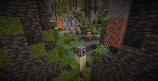 Several Features (Night Vision)