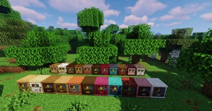 All Different Wood Variations and Stripped Variations