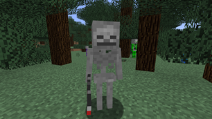 Normal Skeleton
