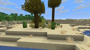 Small oasis